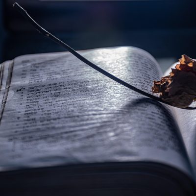 玉蒲团资深编辑林晓的近照，坐在电脑前浏览资料页面，表情专注认真，工作台上整齐地摆放着笔记本和便利贴，展现出细心的工作风格